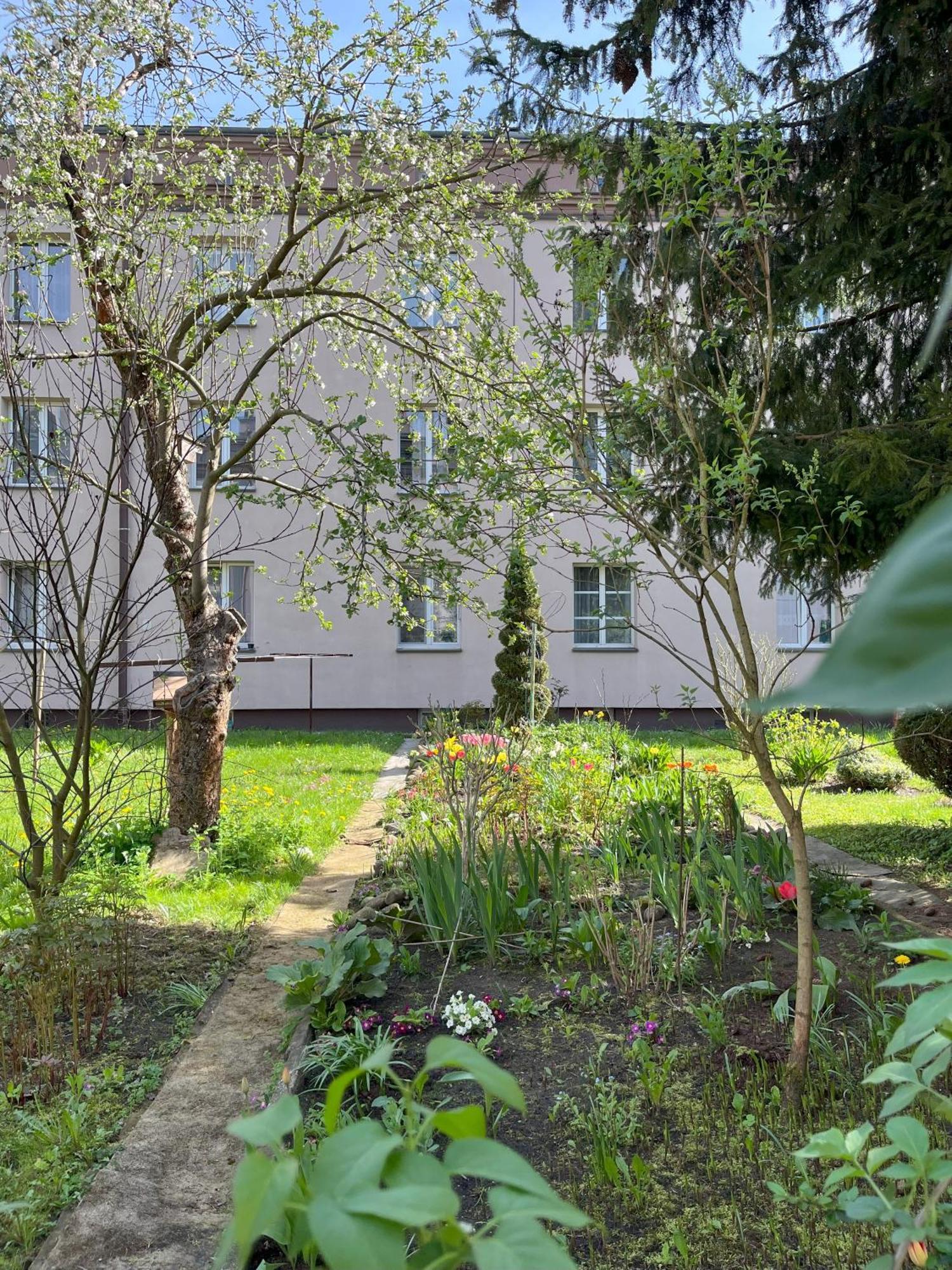 Greenthumb Praska Kraków Eksteriør billede