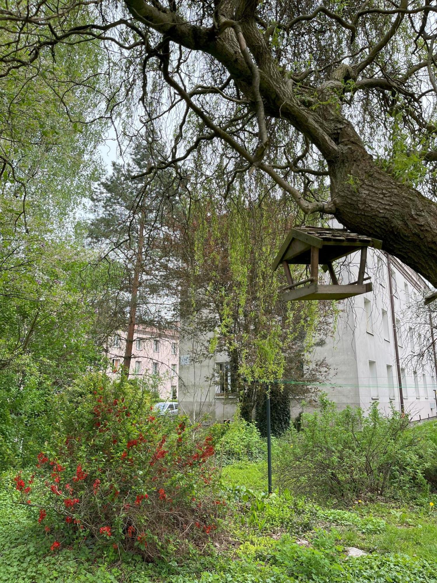 Greenthumb Praska Kraków Eksteriør billede